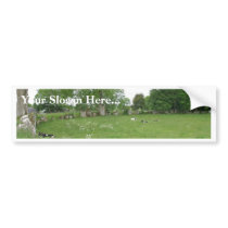 Ireland Trees Moss Rocks bumper stickers by lifesphere Ireland Trees Moss Rocks bumper stickers
