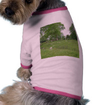 Ireland Trees Moss Rocks pet clothing
