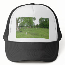 Ireland Trees Moss Rocks hats by lifesphere Ireland Trees Moss Rocks hats