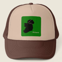iReland Trucker Hat