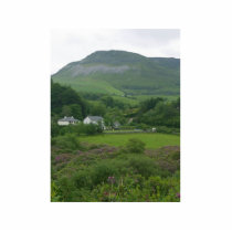 Irelands Green Fild photo sculptures