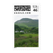 Irelands Green Fild