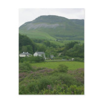 Irelands Green Fild postcards
