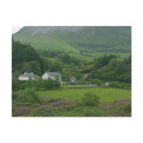 Irelands Green Fild postcards