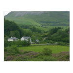 irelands green fild postcards r9dcf5d71a08e42d890deb6693d41fa0a vgbaq 8byvr 150 Irish Heritage