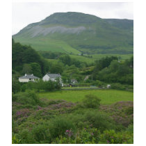 Irelands Green Fild