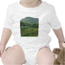 Irelands Green Fild