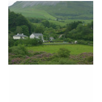 Irelands Green Fild