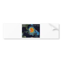 IRENE BUMPER STICKERS