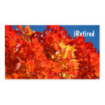 iRetired Business Cards Loving Life Having Fun