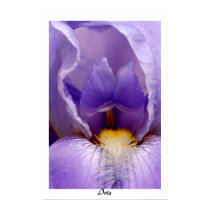 Iris03 posters by ottofocus Iris03 posters