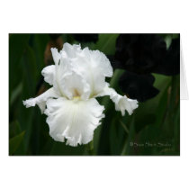 Iris 071 cards