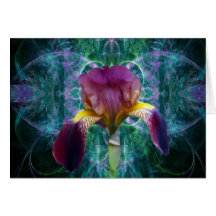 Iris and its meaning cards