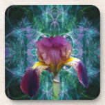 Iris and its meaning coasters