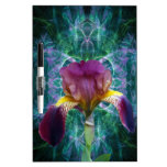 Iris and its meaning Dry-Erase board