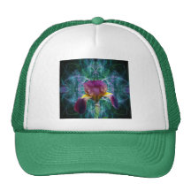 Iris and its meaning hat