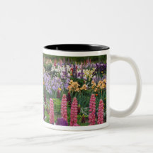 Iris and Lupine garden and Teton Range, Coffee Mugs