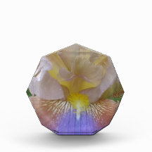 Iris Award