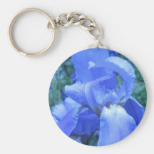 Iris azul llavero