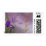 Iris Beauty RSVP