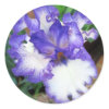 Iris ~ Blue and White sticker
