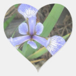 Iris Blue Flag Flower Heart Sticker