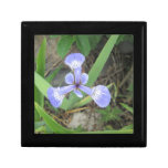 Iris Blue Flag Flower Jewelry Box