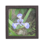 Iris Blue Flag Flower Keepsake Box