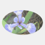 Iris Blue Flag Flower Oval Sticker