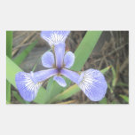 Iris Blue Flag Flower Rectangular Sticker