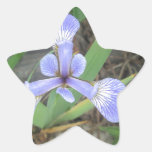 Iris Blue Flag Flower Star Sticker