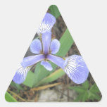 Iris Blue Flag Flower Triangle Sticker