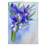 "Iris Bouquet" Painting Greeting Card cards