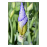 Iris Bud- Love is a gift Card