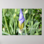 Iris Bud- Wise sayings Poster