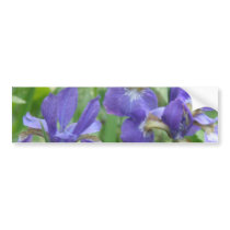 Iris Bulbs Bumper Sticker