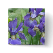 Iris Bulbs Square Pin