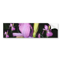 IRIS bumper stickers by MAPASUE IRIS bumper stickers