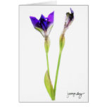 "Iris" by J. Maya Luz Greeting Card