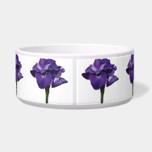 Iris Caesar Morgan Pet Water Bowls