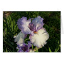 Iris cards