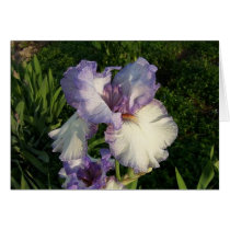 Iris cards by sdavis051 Iris cards