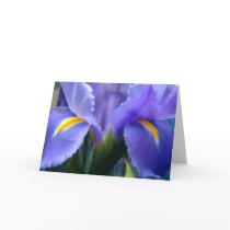 Iris cards