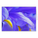 Iris cards