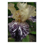 Iris card
