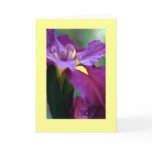 "Iris" Greeting Cards