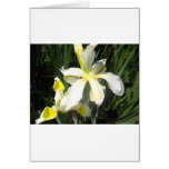 iris card