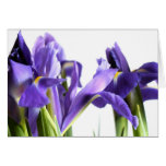 Iris Card