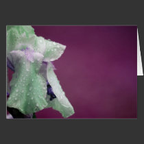 Iris cards
