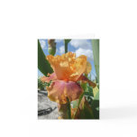 IRIS CARD - BOTTLE ROCKET - Blank Note Card